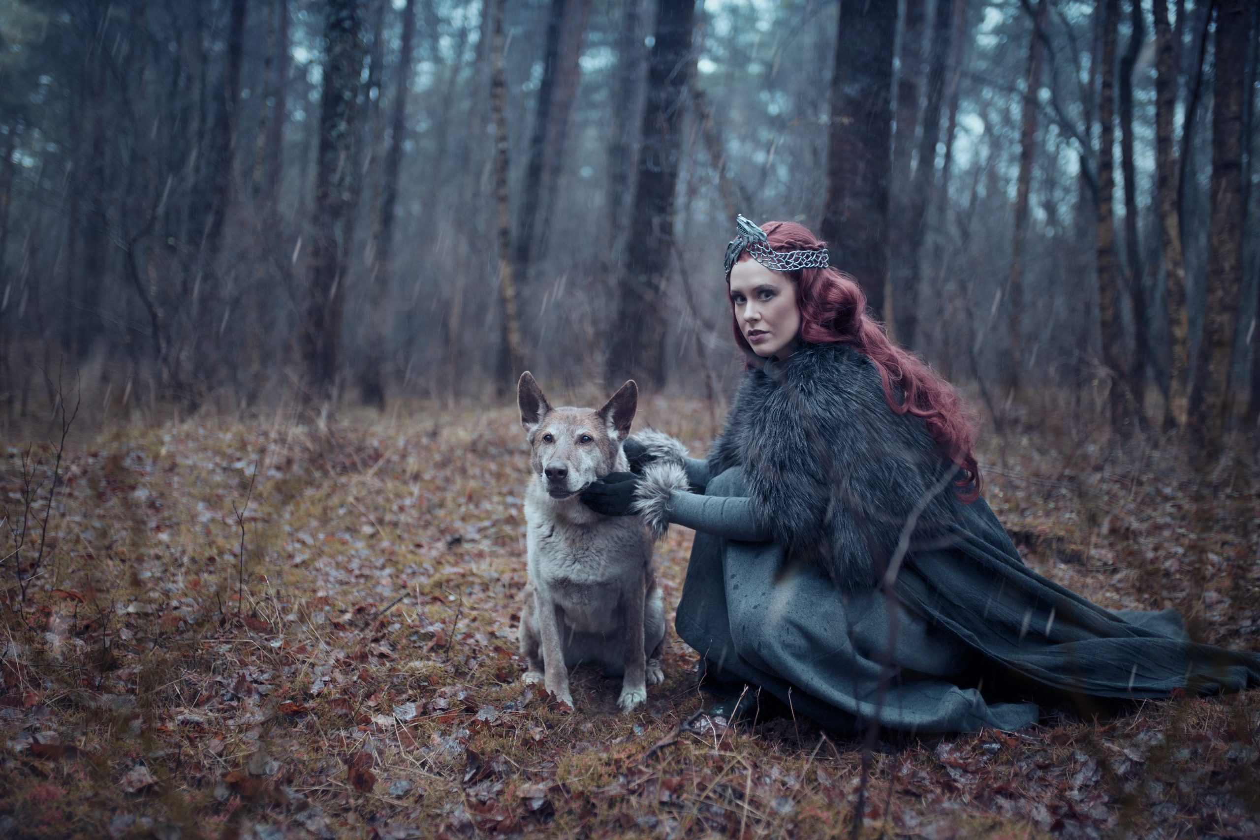 Das Cosplay Sansa Stark aus Game of Thrones con @appllonia_project