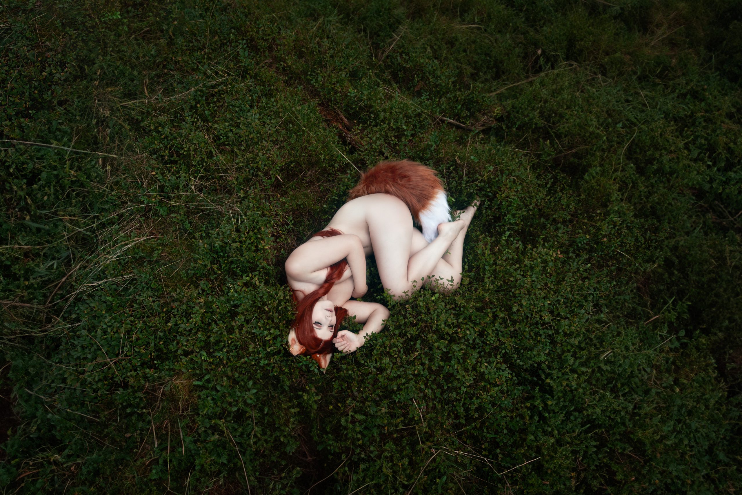 Eine Fantasyidee Fuchs im Wald von @sahhki im Wald von Riesenbeck